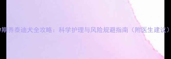 图片 孕期养泰迪犬全攻略：科学护理与风险规避指南（附医生建议）2