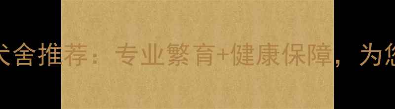 图片 宁夏优质拉布拉多犬舍推荐：专业繁育+健康保障，为您挑选完美毛孩伙伴