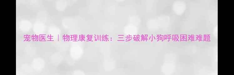图片 宠物医生｜物理康复训练：三步破解小狗呼吸困难难题
