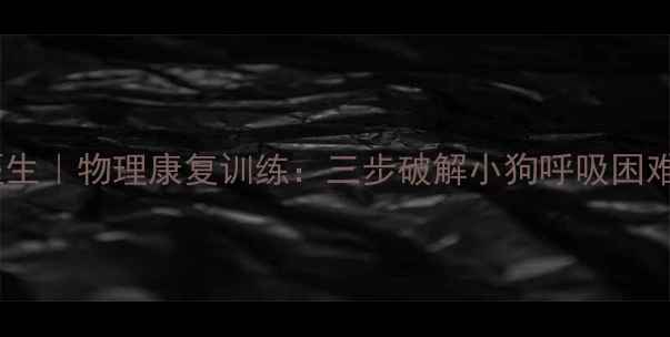 图片 宠物医生｜物理康复训练：三步破解小狗呼吸困难难题1