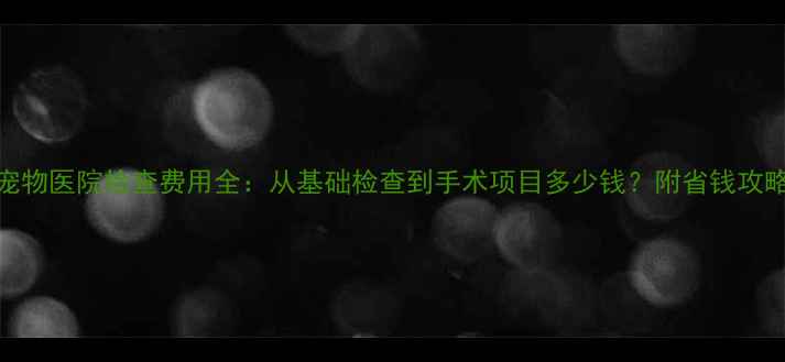 图片 宠物医院检查费用全：从基础检查到手术项目多少钱？附省钱攻略