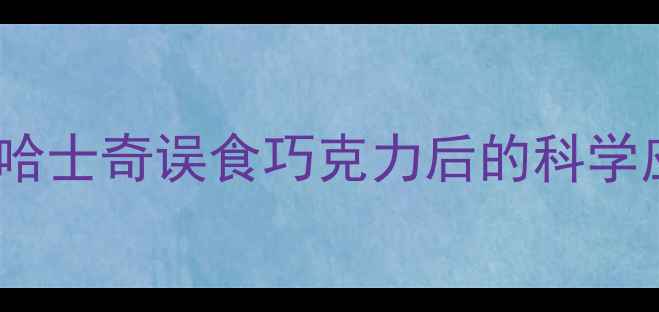 图片 宠物急救指南：哈士奇误食巧克力后的科学应对与预防策略2