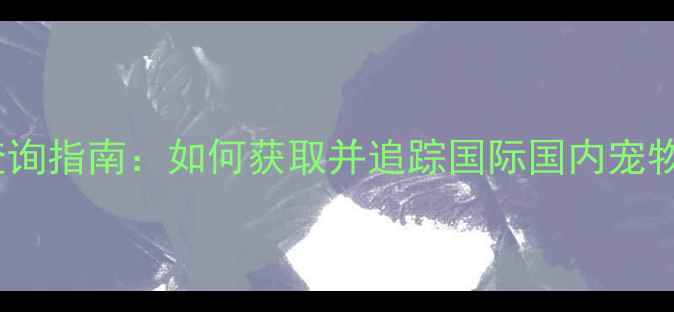 图片 宠物托运单号查询指南：如何获取并追踪国际国内宠物运输物流信息1