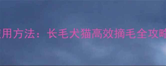 图片 宠物毛刷的正确使用方法：长毛犬猫高效摘毛全攻略（附工具推荐）1