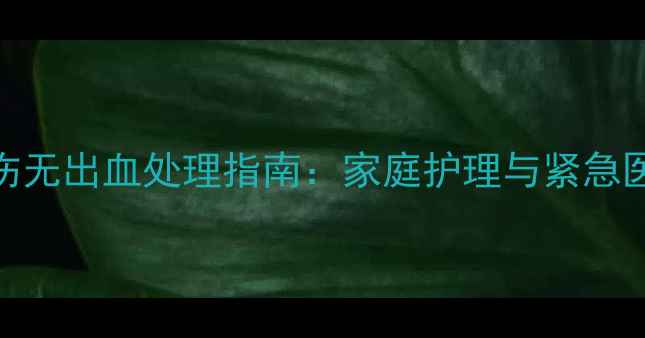 图片 宠物犬咬伤无出血处理指南：家庭护理与紧急医疗应对全