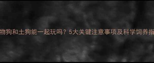图片 宠物狗和土狗能一起玩吗？5大关键注意事项及科学饲养指南