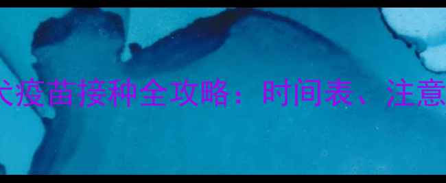 图片 宠物狗必看！狂犬疫苗接种全攻略：时间表、注意事项与常见误区2