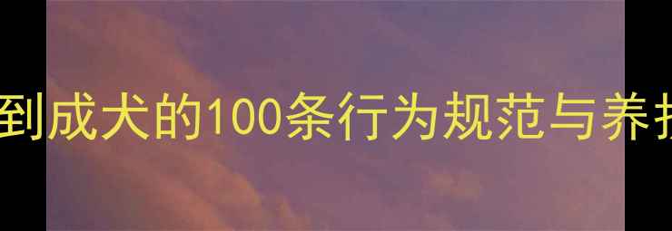 图片 宠物狗规则小说：从幼犬到成犬的100条行为规范与养护秘籍（附电子书下载）1