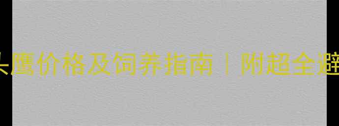 图片 宠物猫头鹰价格及饲养指南｜附超全避坑攻略1