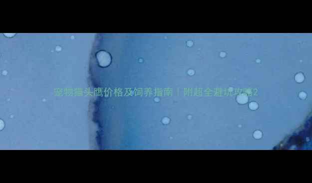 图片 宠物猫头鹰价格及饲养指南｜附超全避坑攻略2