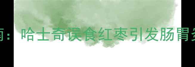 图片 宠物紧急救援指南：哈士奇误食红枣引发肠胃炎的完整处理方案