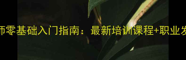 图片 宠物美容师零基础入门指南：最新培训课程+职业发展全攻略