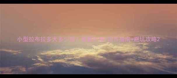 图片 小型拉布拉多犬多少钱？最新价格+饲养指南+避坑攻略2