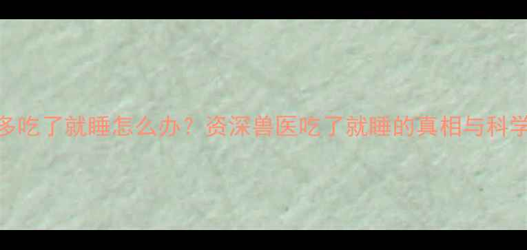 图片 小拉布拉多吃了就睡怎么办？资深兽医吃了就睡的真相与科学养护指南