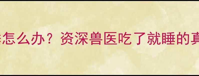 图片 小拉布拉多吃了就睡怎么办？资深兽医吃了就睡的真相与科学养护指南1
