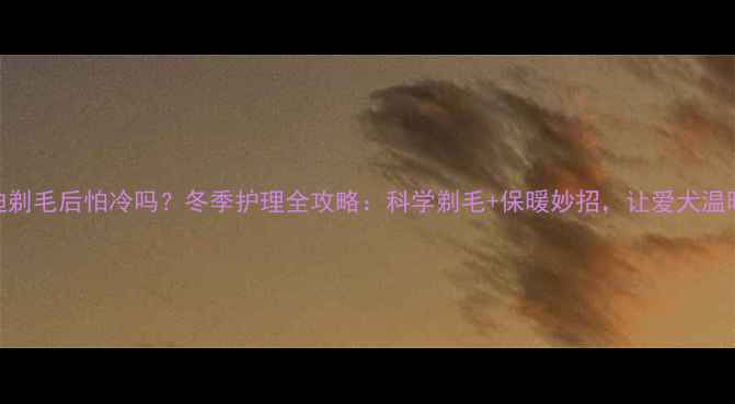 图片 小泰迪剃毛后怕冷吗？冬季护理全攻略：科学剃毛+保暖妙招，让爱犬温暖过冬