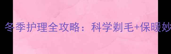 图片 小泰迪剃毛后怕冷吗？冬季护理全攻略：科学剃毛+保暖妙招，让爱犬温暖过冬1