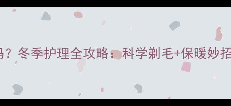 图片 小泰迪剃毛后怕冷吗？冬季护理全攻略：科学剃毛+保暖妙招，让爱犬温暖过冬2