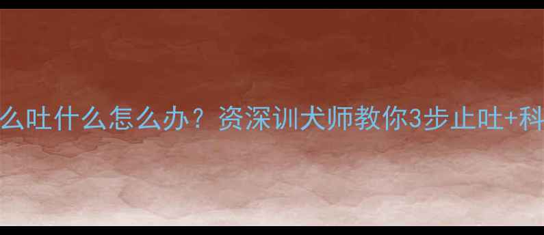 图片 小泰迪吃什么吐什么怎么办？资深训犬师教你3步止吐+科学喂养指南