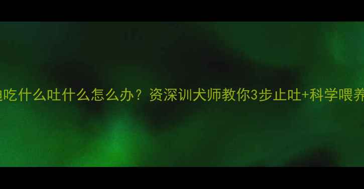 图片 小泰迪吃什么吐什么怎么办？资深训犬师教你3步止吐+科学喂养指南1