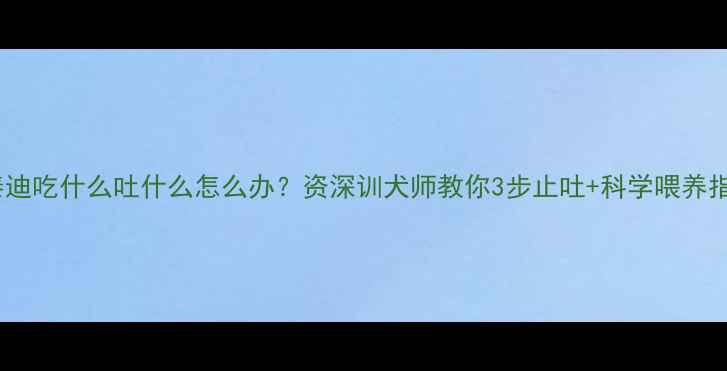 图片 小泰迪吃什么吐什么怎么办？资深训犬师教你3步止吐+科学喂养指南2