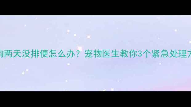 图片 小狗两天没排便怎么办？宠物医生教你3个紧急处理方法