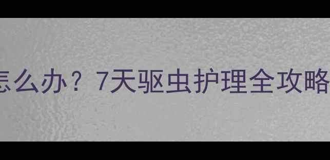 图片 小狗呕吐有虫子怎么办？7天驱虫护理全攻略+家庭急救指南🐾