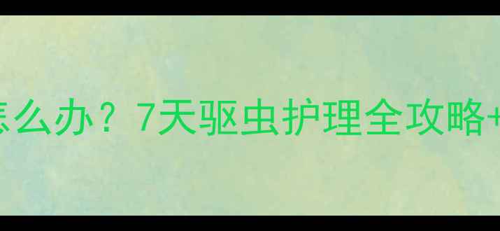 图片 小狗呕吐有虫子怎么办？7天驱虫护理全攻略+家庭急救指南🐾1