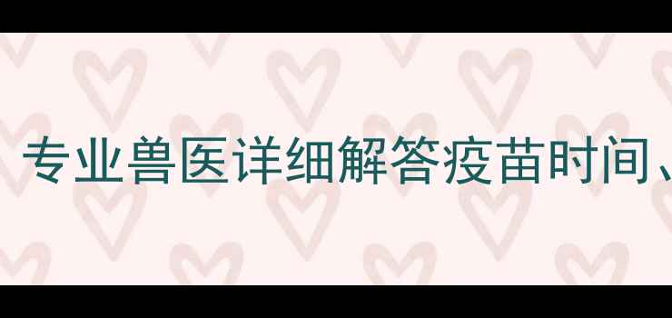图片 小狗咳嗽能打疫苗吗？专业兽医详细解答疫苗时间、注意事项及应对措施