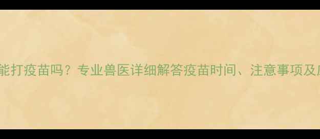 图片 小狗咳嗽能打疫苗吗？专业兽医详细解答疫苗时间、注意事项及应对措施1