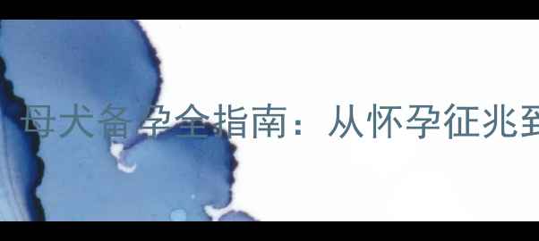 图片 小狗怀孕几个月？母犬备孕全指南：从怀孕征兆到科学护理的干货