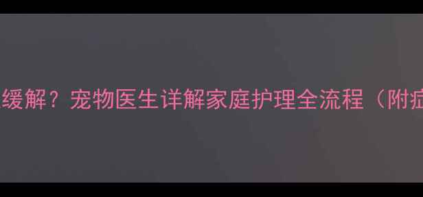 图片 小狗感冒咳嗽如何快速缓解？宠物医生详解家庭护理全流程（附症状判断与用药指南）2