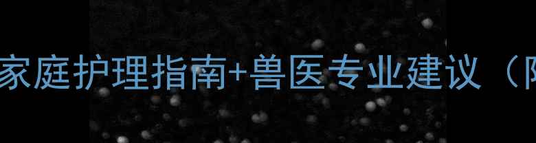 图片 小狗拉肚子痢疾怎么办？家庭护理指南+兽医专业建议（附症状识别与预防措施）2