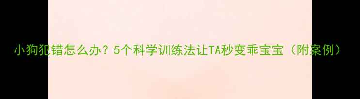 图片 小狗犯错怎么办？5个科学训练法让TA秒变乖宝宝（附案例）