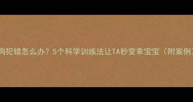 图片 小狗犯错怎么办？5个科学训练法让TA秒变乖宝宝（附案例）2
