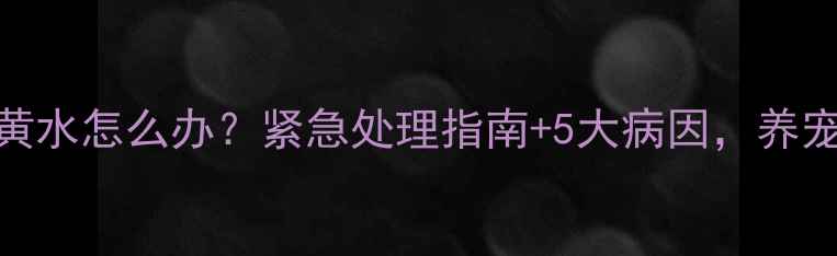 图片 小狗狗吐黄水怎么办？紧急处理指南+5大病因，养宠人必看！