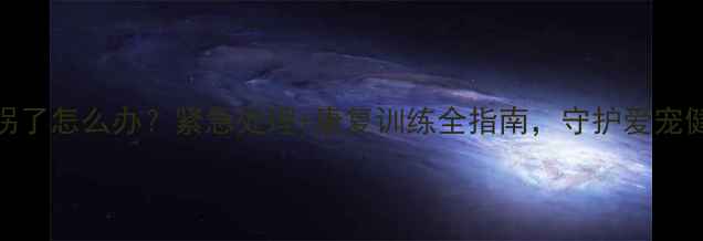 图片 小狗狗腿拐了怎么办？紧急处理+康复训练全指南，守护爱宠健康必看！