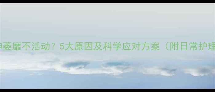 图片 小狗精神萎靡不活动？5大原因及科学应对方案（附日常护理指南）1