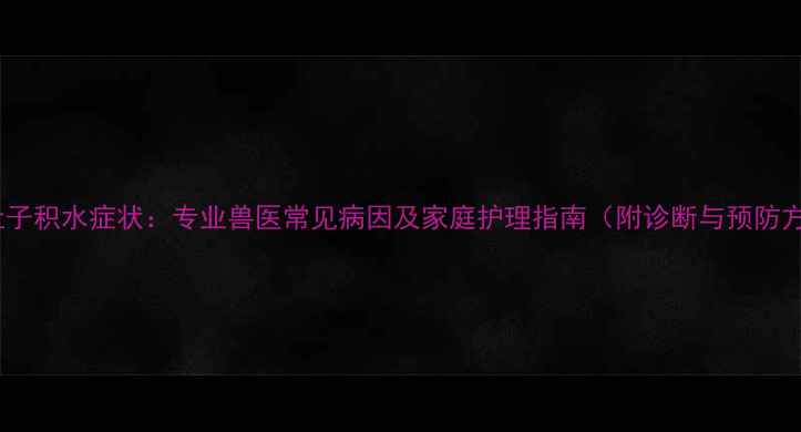 图片 小狗肚子积水症状：专业兽医常见病因及家庭护理指南（附诊断与预防方案）1