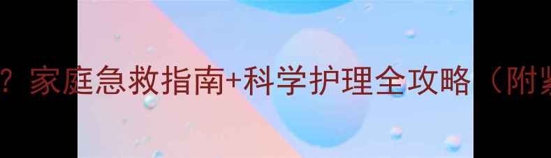 图片 小狗腹泻怎么办？家庭急救指南+科学护理全攻略（附紧急处理步骤）2