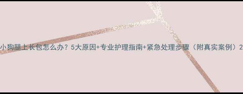 图片 小狗腿上长包怎么办？5大原因+专业护理指南+紧急处理步骤（附真实案例）2