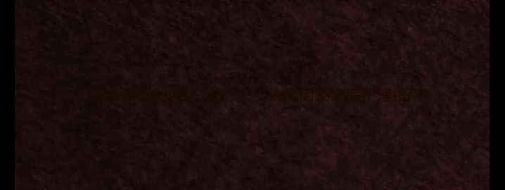 图片 小狗走路前腿发软怎么办？5大病因及家庭护理指南1