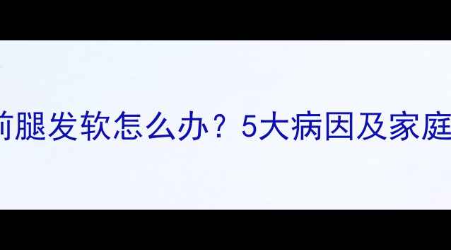 图片 小狗走路前腿发软怎么办？5大病因及家庭护理指南2