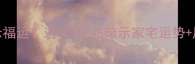 图片 小狗跑进家预示福运？这5个征兆暗示家宅运势+风水禁忌全！🐾