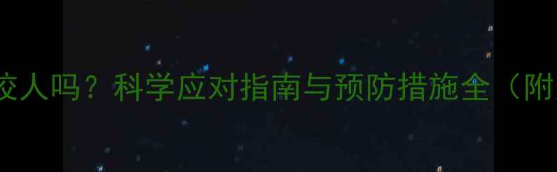 图片 小狗身上跳蚤会咬人吗？科学应对指南与预防措施全（附宠物护理技巧）1
