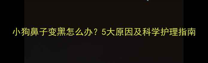 图片 小狗鼻子变黑怎么办？5大原因及科学护理指南
