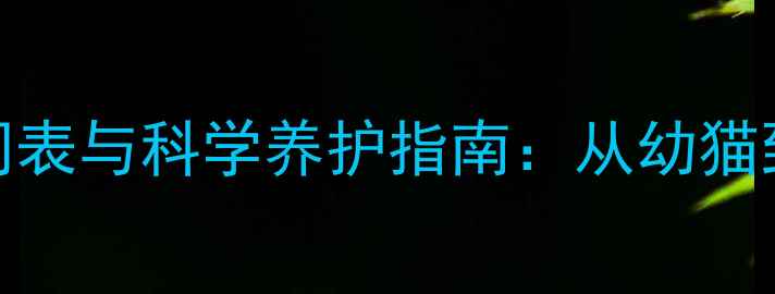 图片 小猫性成熟时间表与科学养护指南：从幼猫到成猫的发育全