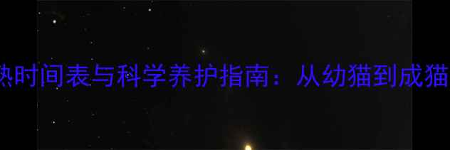 图片 小猫性成熟时间表与科学养护指南：从幼猫到成猫的发育全1