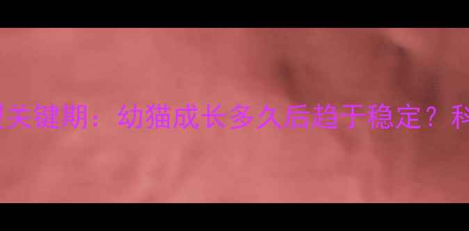 图片 小猫性格定型关键期：幼猫成长多久后趋于稳定？科学养护指南1