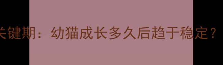 图片 小猫性格定型关键期：幼猫成长多久后趋于稳定？科学养护指南2